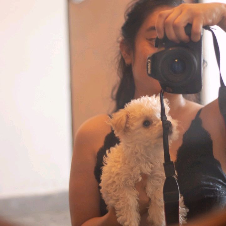 @ariadnaysushilos