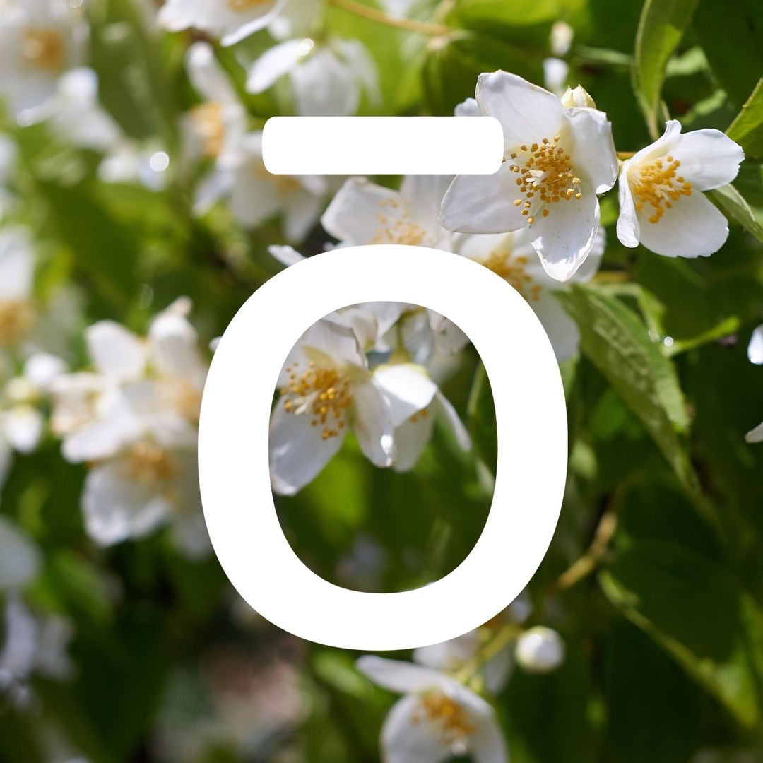 @doterraessentialoils