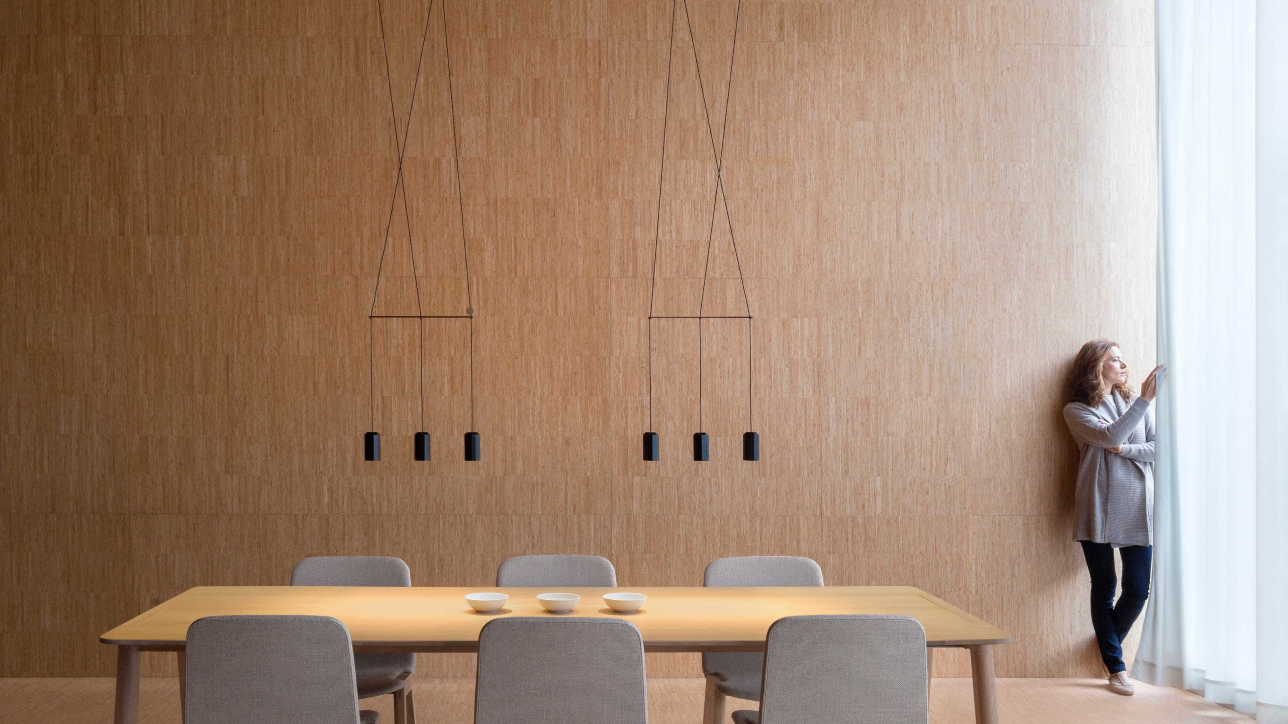 Vibia Wireflow lineal — colgante