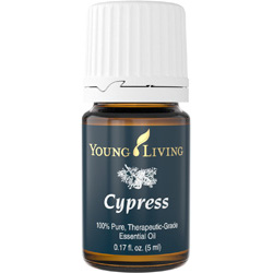 Cypress