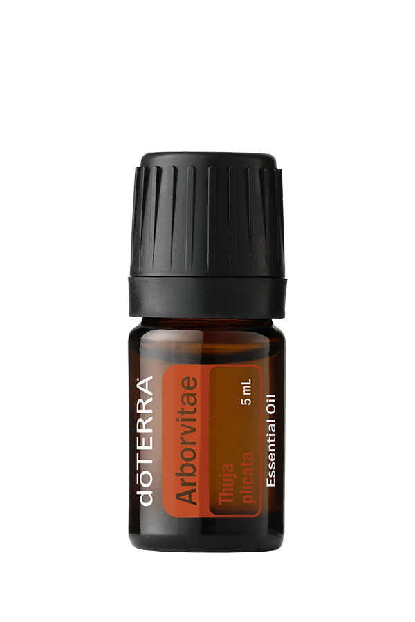Aceite Esencial de Tuya — imagen 6