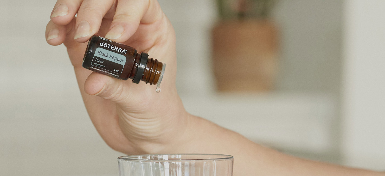 Black Pepper Oil — imagen 3