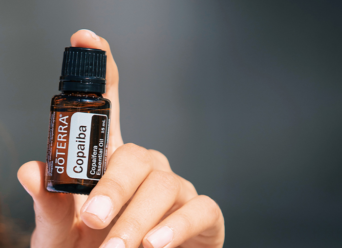 Copaiba Oil — imagen 4