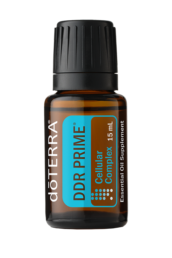 DDR Prime Cellular Complex — imagen 5