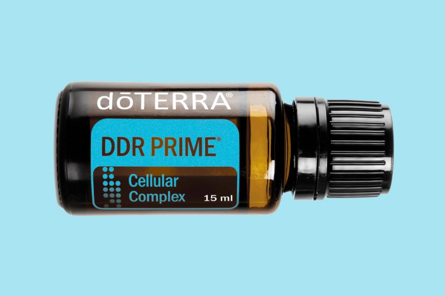 DDR Prime Cellular Complex