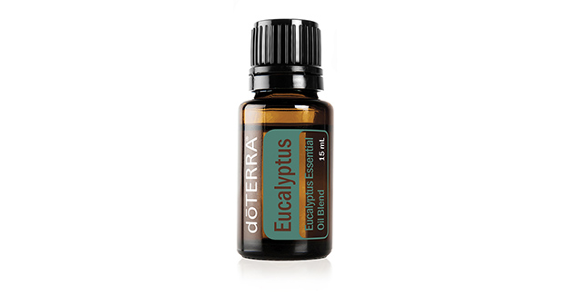 Eucalyptus Essential Oil