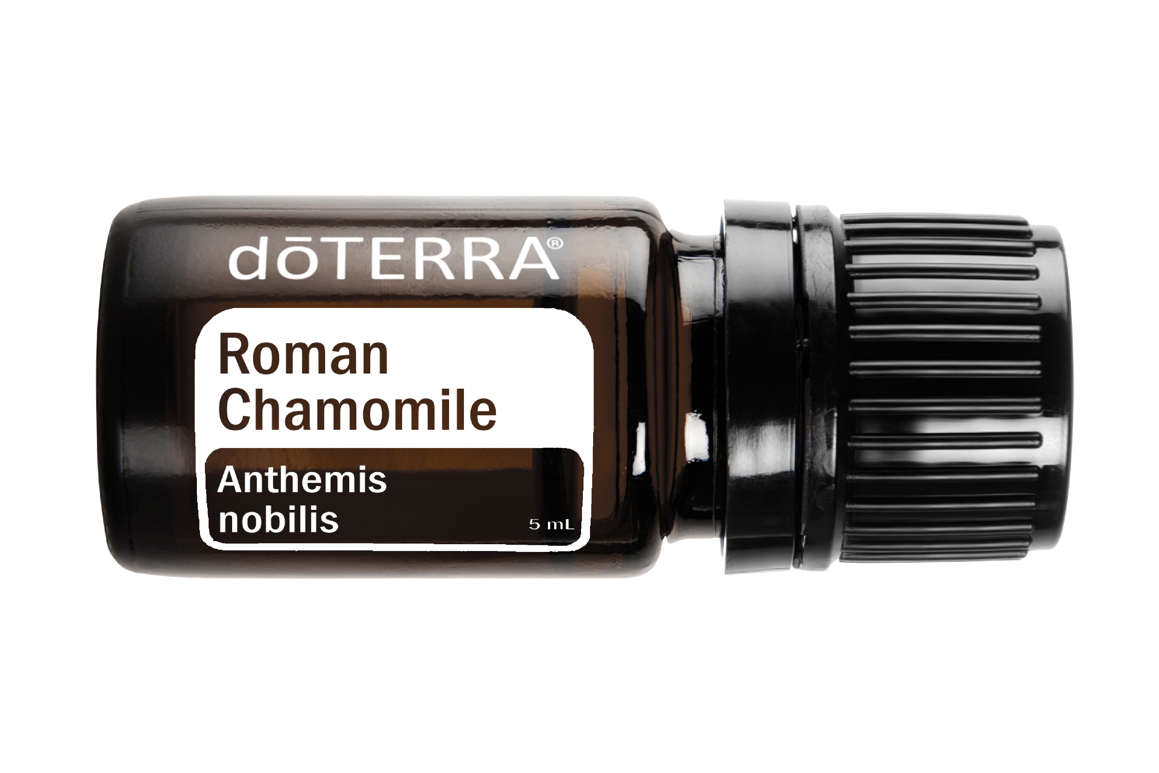 Roman Chamomile Essential Oil