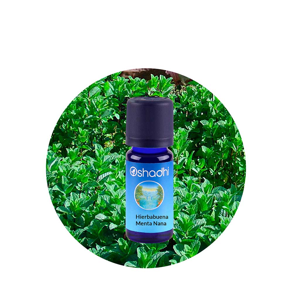 Aceite Esencial de Hierbabuena (Menta Nana)