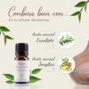 Aceite esencial de Árbol de Té — imagen 2