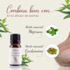 Aceite esencial de Eucalipto — imagen 2