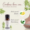 Aceite esencial de Hisopo — imagen 2