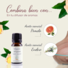 Aceite esencial de Jengibre — imagen 2