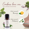 Aceite esencial de Salvia — imagen 2