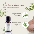 Aceite esencial de Tomillo — imagen 2