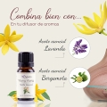 Aceite esencial de Ylang Ylang EXTRA — imagen 2