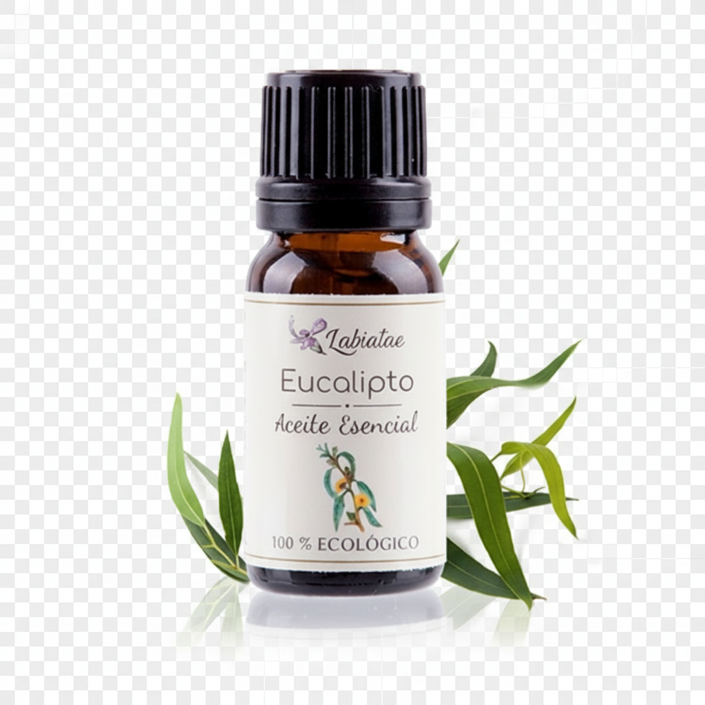 Aceite esencial de Eucalipto — imagen 2