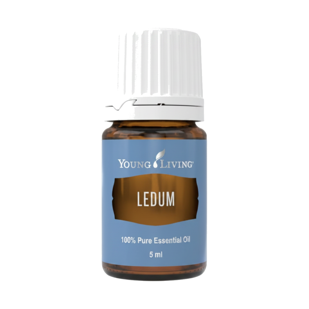 Aceite Esencial de Ledum