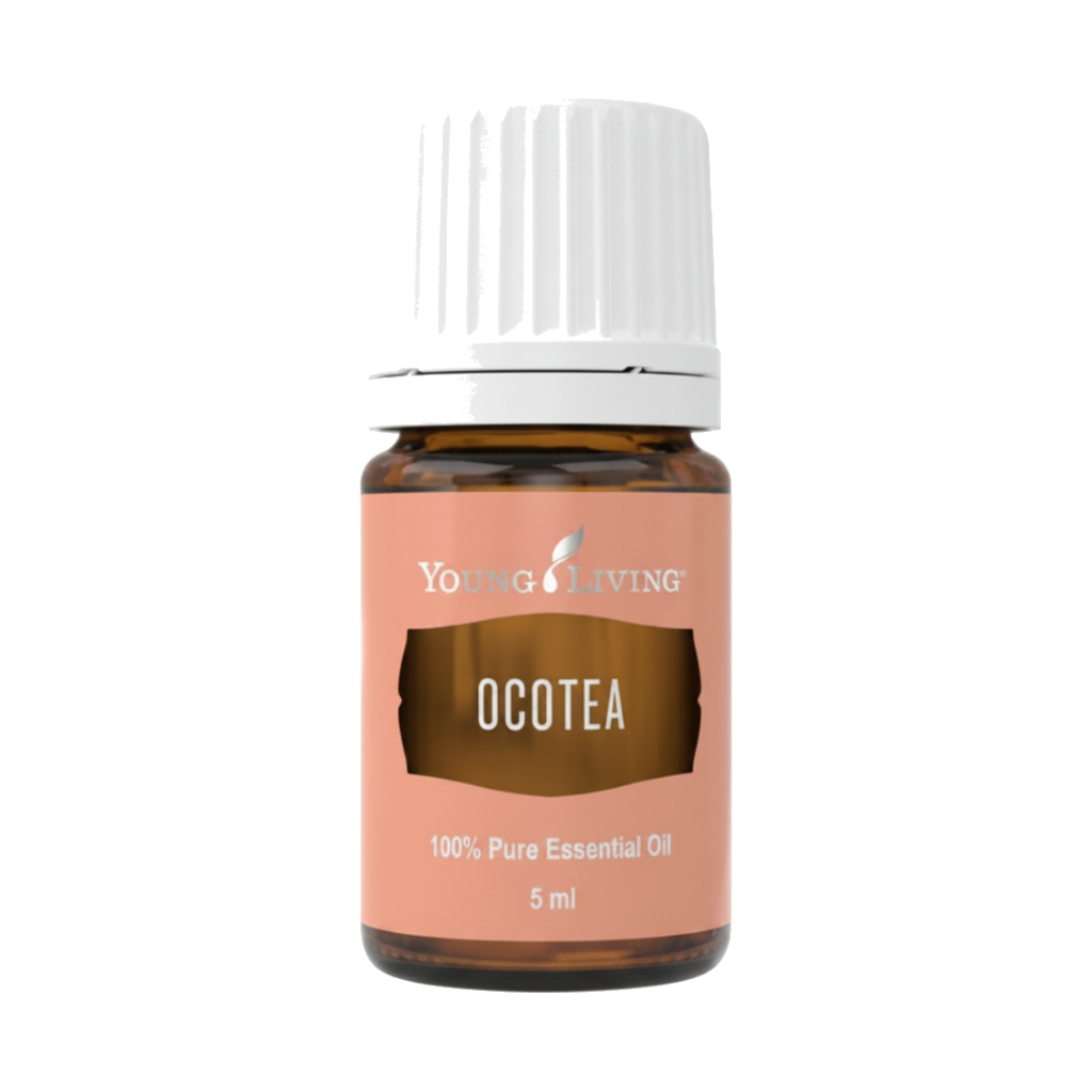 Aceite Esencial de Ocotea
