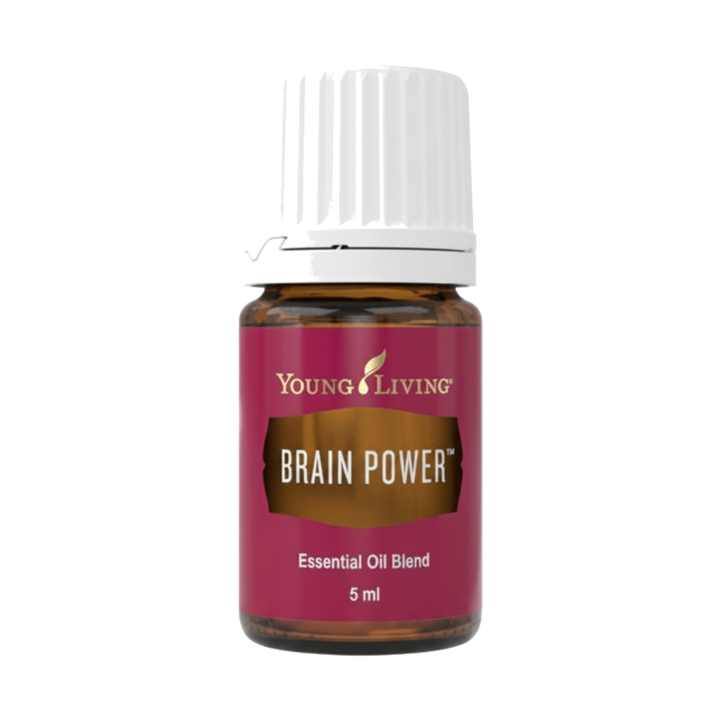 Brain Power