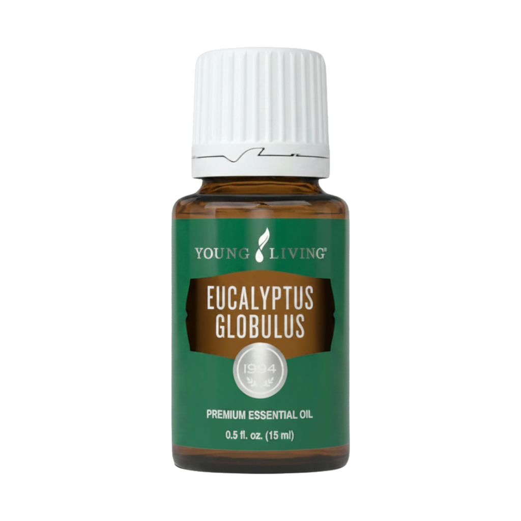 Eucalyptus Globulus