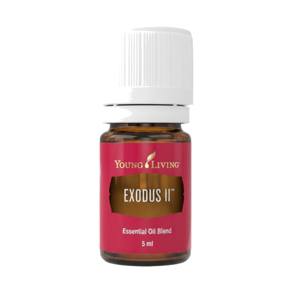 Exodus II