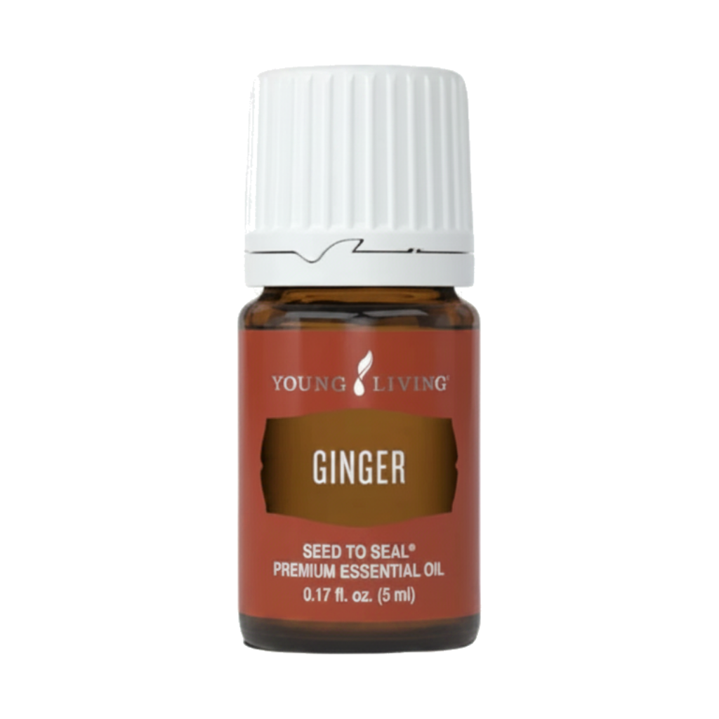 Ginger+