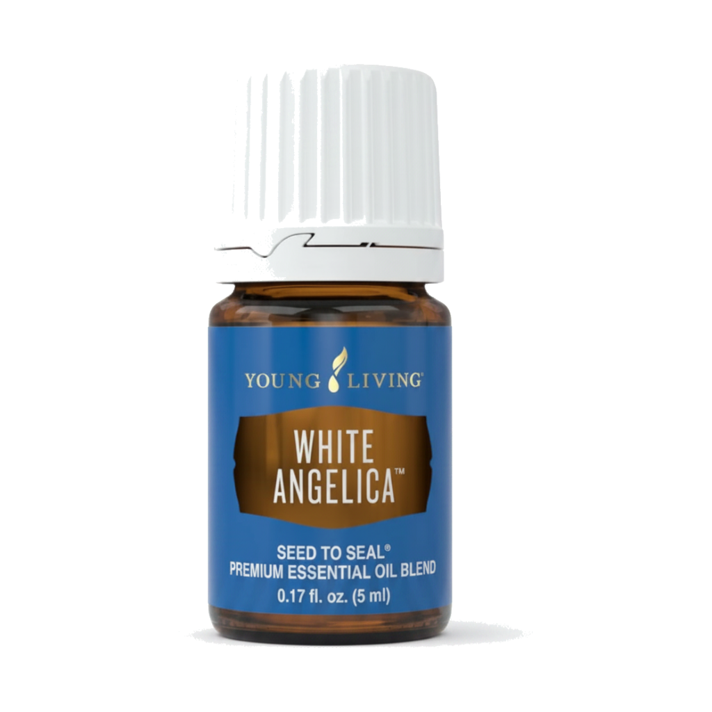 White Angelica