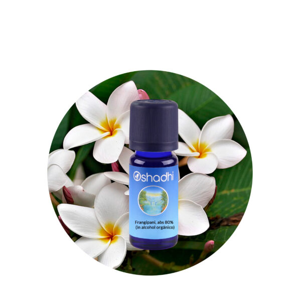 Aceite Esencial absoluto de Frangipani 80%(en alcohol orgánico)