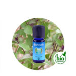 Aceite Esencial absoluto de Jazmín Auriculatum — imagen 2