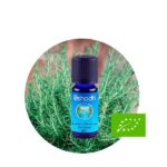 Aceite Esencial absoluto de Jazmín Sambac — imagen 2