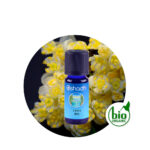 Aceite Esencial absoluto de Jazmín Sambac — imagen 3