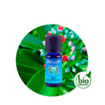 Aceite Esencial absoluto de Loto Rosa — imagen 3