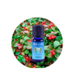 Aceite Esencial absoluto de Mimosa 66% (en alcohol orgánico) — imagen 3