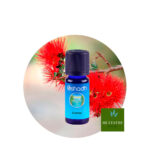 Aceite Esencial de Ajowan — imagen 3