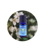 Aceite Esencial de Albahaca sagrada (Tulsi) — imagen 3