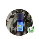 Aceite Esencial de Albahaca tropical (85% Chav. Metilo) — imagen 3