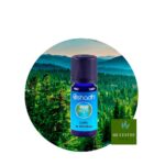 Aceite Esencial de Arbol del té (Rosalina) — imagen 2