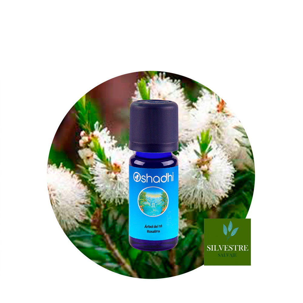 Aceite Esencial de Arbol del té (Rosalina)