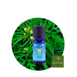 Aceite Esencial de Artemisa Annua — imagen 2