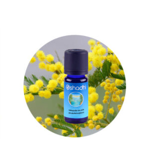 Aceite Esencial de Cajeput — imagen 5