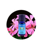 Aceite Esencial de Canela (Corteza) — imagen 2