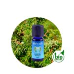 Aceite Esencial de Canela de China (Cassia) — imagen 2
