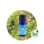 Aceite Esencial de Canela (Hojas) — imagen 3