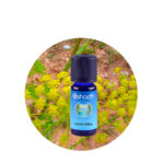 Aceite Esencial de Cardamomo — imagen 3