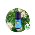Aceite Esencial de Cedro de Atlas — imagen 3