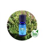 Aceite Esencial de Cedro de Himalaya — imagen 2