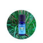Aceite Esencial de Ciprés de España — imagen 2