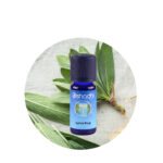Aceite Esencial de Clavo (Hoja) — imagen 2