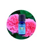 Aceite Esencial de Clavo (Yema) — imagen 2