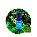 Aceite Esencial de Enebro de Montaña — imagen 3
